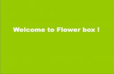 Hoa hộp gỗ Flower box - Wooden box Samples 2015