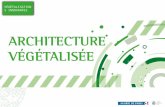 AAP Végétalisation Innovante_projet architecture