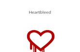 Heartbleed Nedir?
