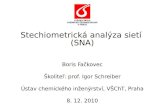 Stoichiometric network analysis