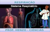 Ciências [fisiologia]   sistema respiratório [henzo]