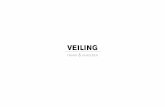 Presentatie Prosumer Project: Veiling