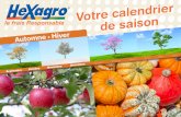 Calendrier des fruits et légumes de saison : automne - hiver par Hexagro