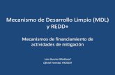 Mecanismo de Desarrollo limpio  (MDL) y REDD+