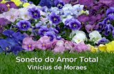 AMOR TOTAL - VINICIUS DE MORAES