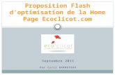 Proposition Flash d'optimisation Home Page Ecoclicot par CBarreteau
