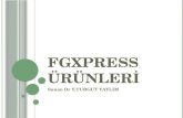 Tüm FGXpress ürünleri