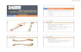 Clase 8   osteologia apendicular