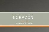 Corazon richy