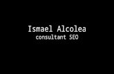 Ismael alcolea Marketing Online Dossier FR