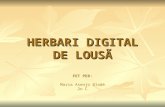 Herbari Digital De Lousã (Maria)
