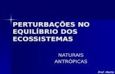 25309095 1205450372-8ano-perturbacoes-no-equilibrio-dos-ecosistemas