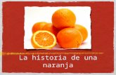 Historia naranja