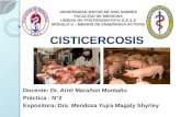 Cisticercosis mendoza   ppgess