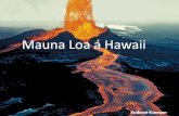 Mauna Loa :D