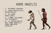HOMO HABILIS-HABILIDOSO
