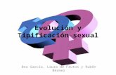 Evolucion y tipificacion