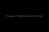 Bilgola beach