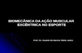 Acao muscular excentrica