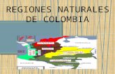 Regiones naturales de colombia