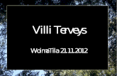 Villi Terveys 2012