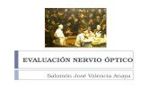 Glaucoma   evaluación del nervio óptico, glaucoma neonatal y manitol