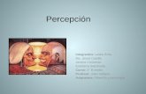 3B - Percepción