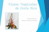 Flores Tropicales de Costa Rica por Mauricio Chavarría Richmond