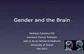 Gender and the brain