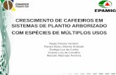 Regis venturin palestra IX Simpósio de Pesquisa dos Cafés do Brasil