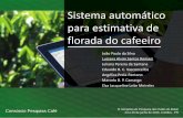 Luciana romani - palestra IX Simpósio de Pesquisa dos Cafés do Brasil