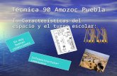 TéCnica 90 Amozoc Puebla