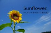 Sunflower フィードバックまとめ