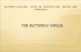 The butterfly circus