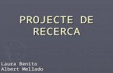 Projecte de Recerca 2010