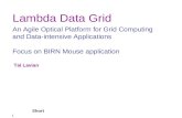 Lambda Data Grid: An Agile Optical Platform for Grid Computing and Data-intensive Applications (Short PPT)