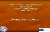 Autumn in poems