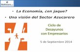 Análisis económico Robinson&asoc Argentina