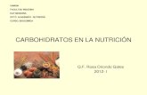2.8. nutricion carbohidratos