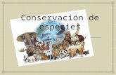 Conservación de especies