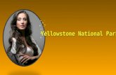 Ye 2014 yellowstone national park photos panoramiques