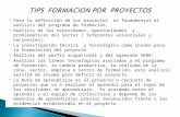 T Ips Metodologia Formacion Proyectos 1