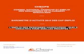 Baromètre de l'activté du réseau national Cap emploi - Cheops 2015