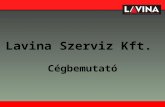 Lavina Szerviz Kft. Cégbemutató