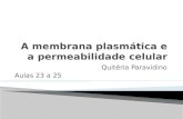 A membrana plasmática e a permeabilidade