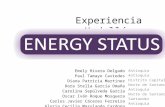 Energy Status