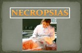 Exp necropsia