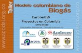 10 Proyectos de Quema de Biogás de CarbonBW
