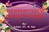 2. dermatosis