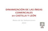 Subvenciones Dinamización Áreas Comerciales en Castilla y León